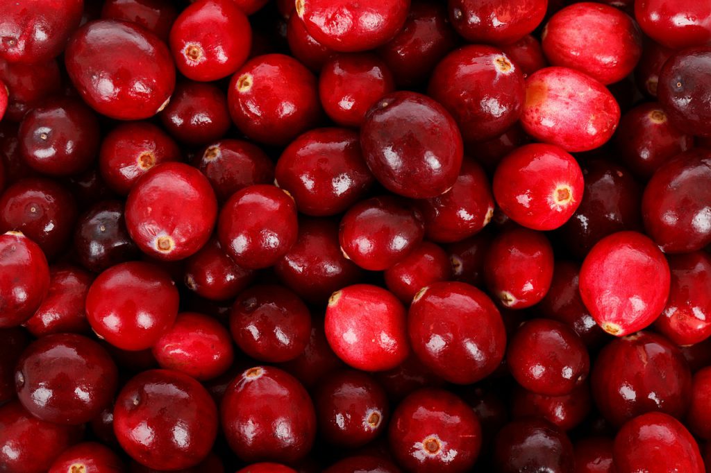 cranberries for UTI
