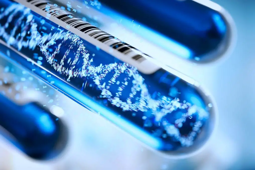 what is genetic testing